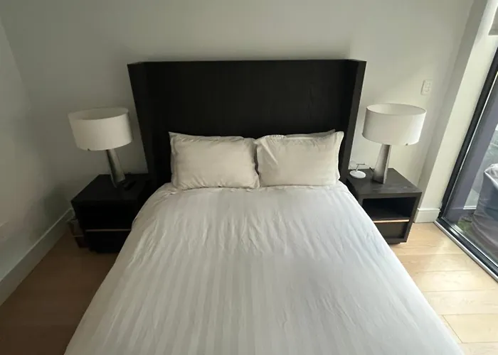 Luxurious Nyc Condo